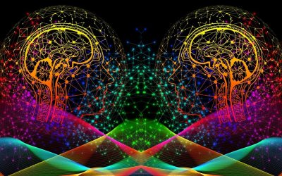 Meer lezen over Interpersoonlijke Neurobiologie [IPNB] vroeg trauma en de goede boodschap van neuroplasticiteit van het brein??